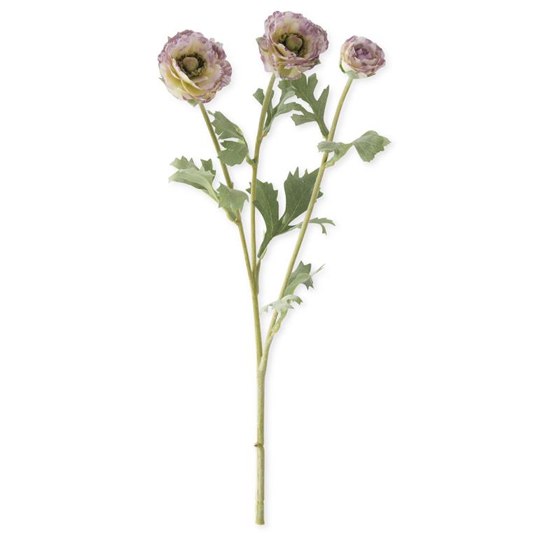 K & K Interiors 3 Head Purple Ranunculus Stem
