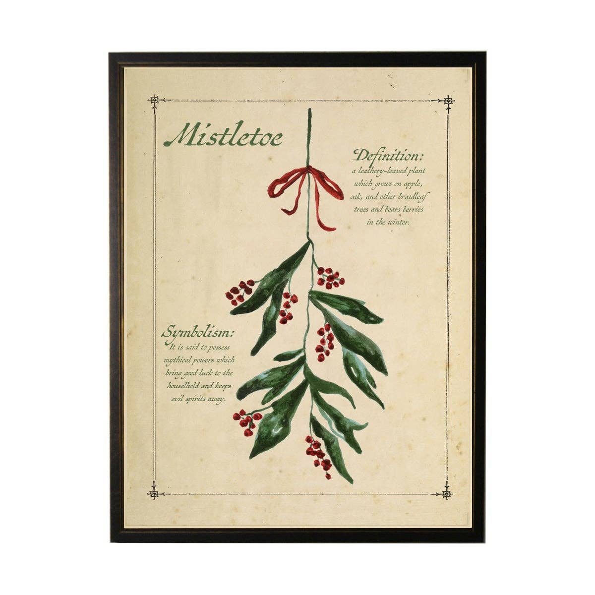 Holiday Mistletoe with Definition Black Shadowbox