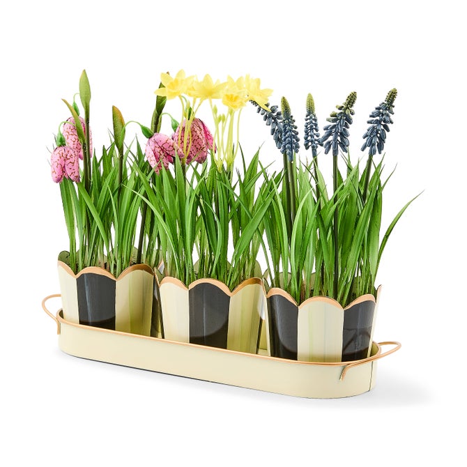 Mackenzie-Childs Courtly Stripe Triple Potted Blooms