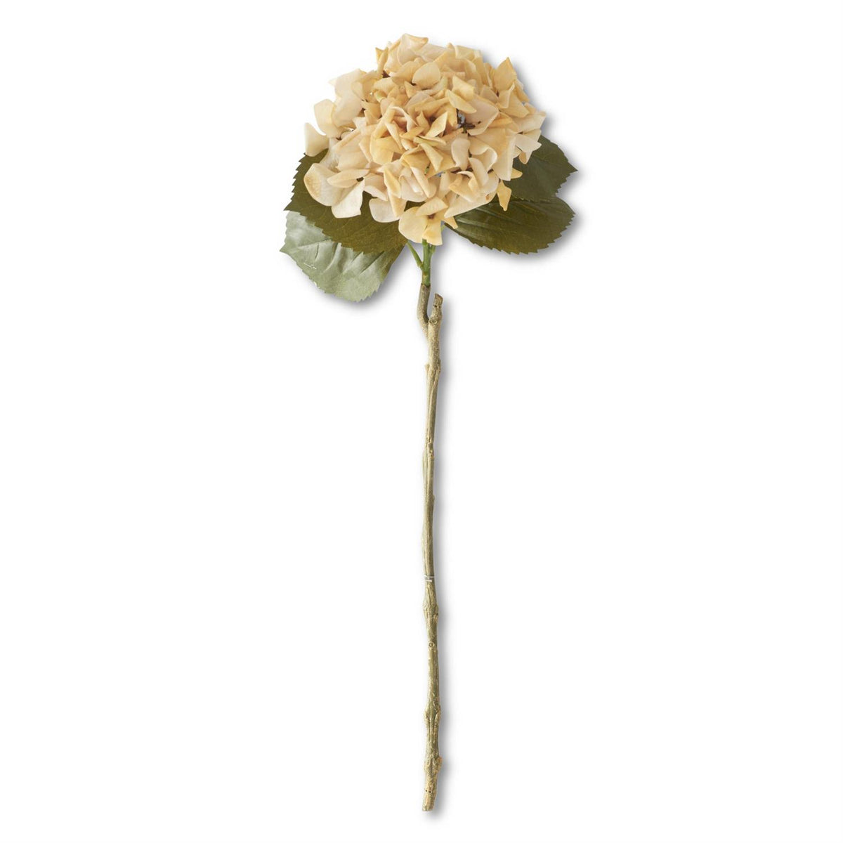 K & K Interiors 24.5 Inch Cream Real Touch Hydrangea