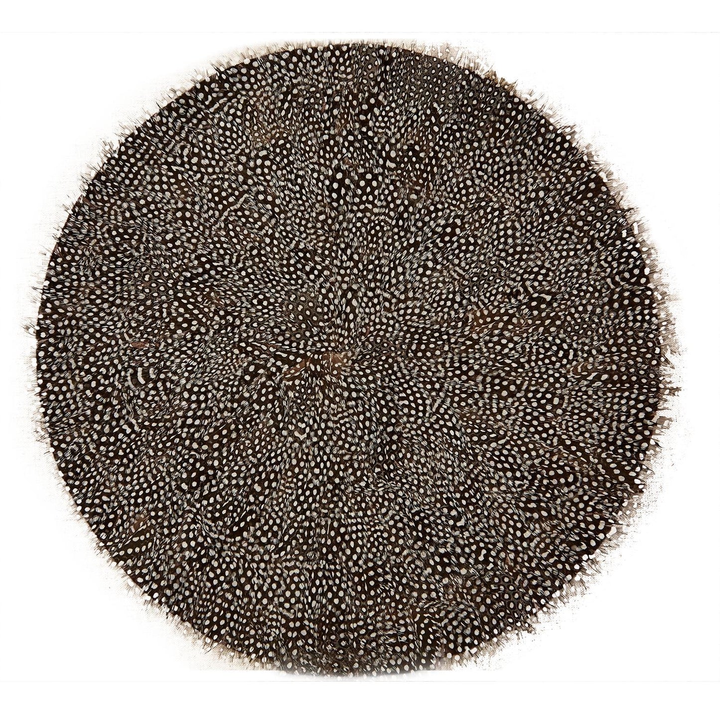 Two's Company Guinea Fowl Feather Placemats - Set of 6
