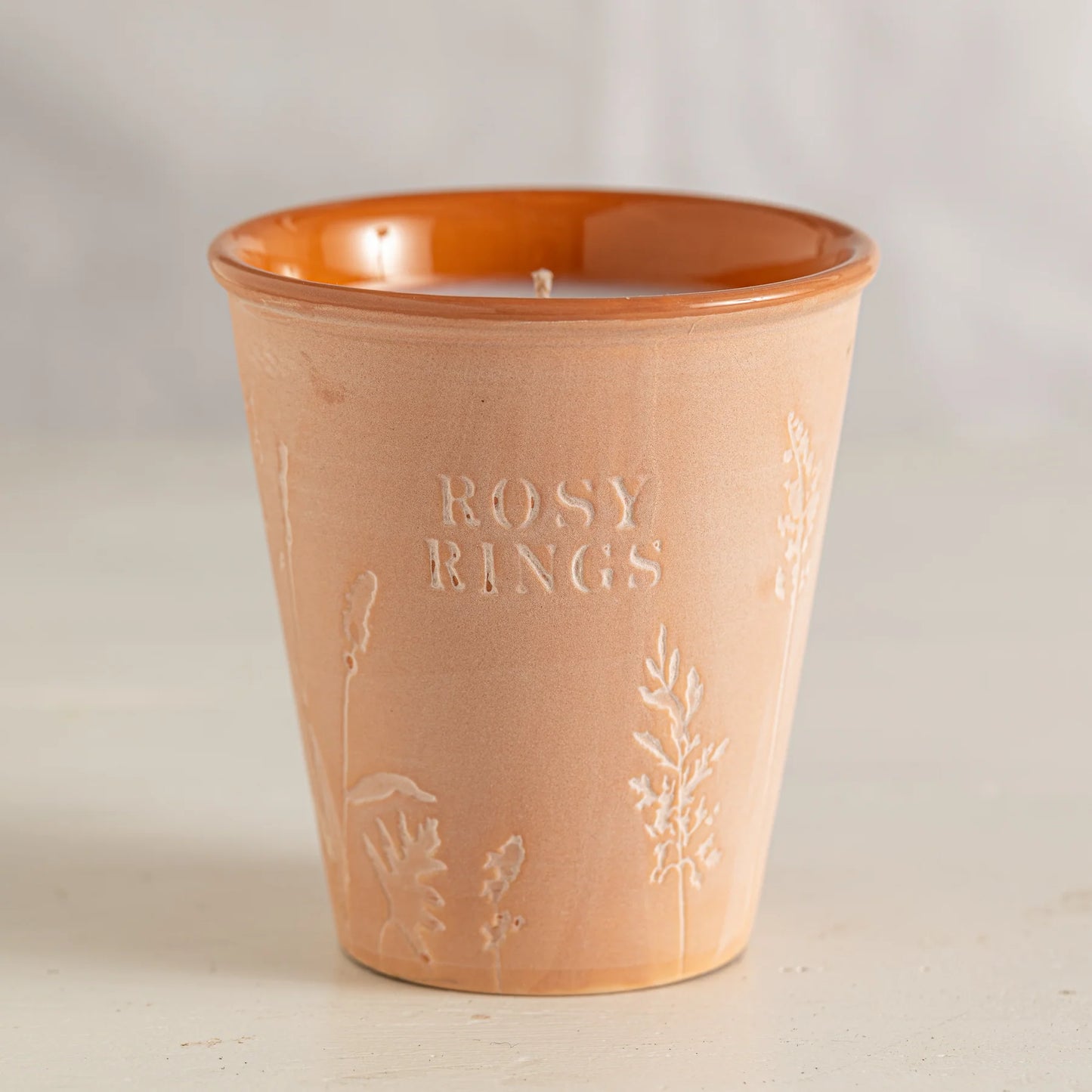 Garden Pot Tomato Vine