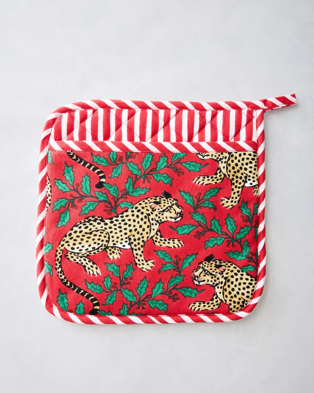 Printfresh Pot Holder in Winter Holly Bagheera