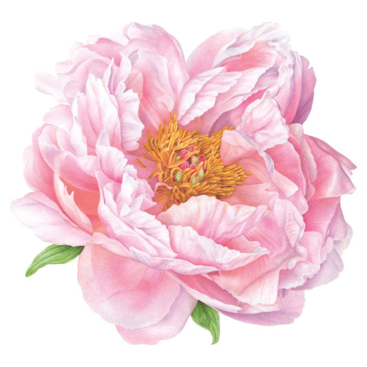 Pink Peony Placemat