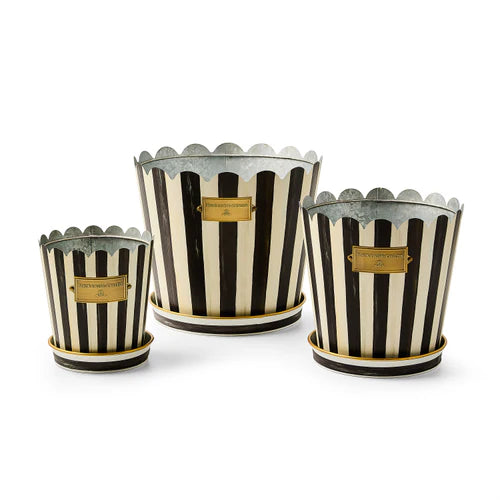 Mackenzie-Childs Courtly Stripe Pots & Saucers