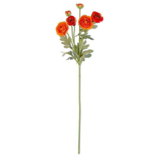 Orange Ranunculus Spray - 26 Inch