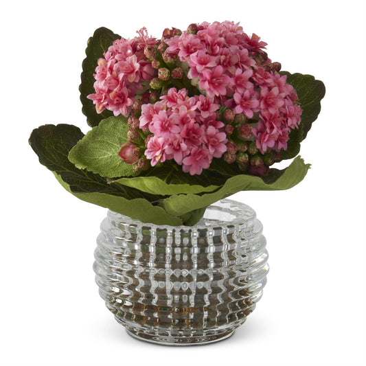 Pink Kalanchoe Premade in Pressed Glass Vase w/Faux Moss - 7.5 Inch