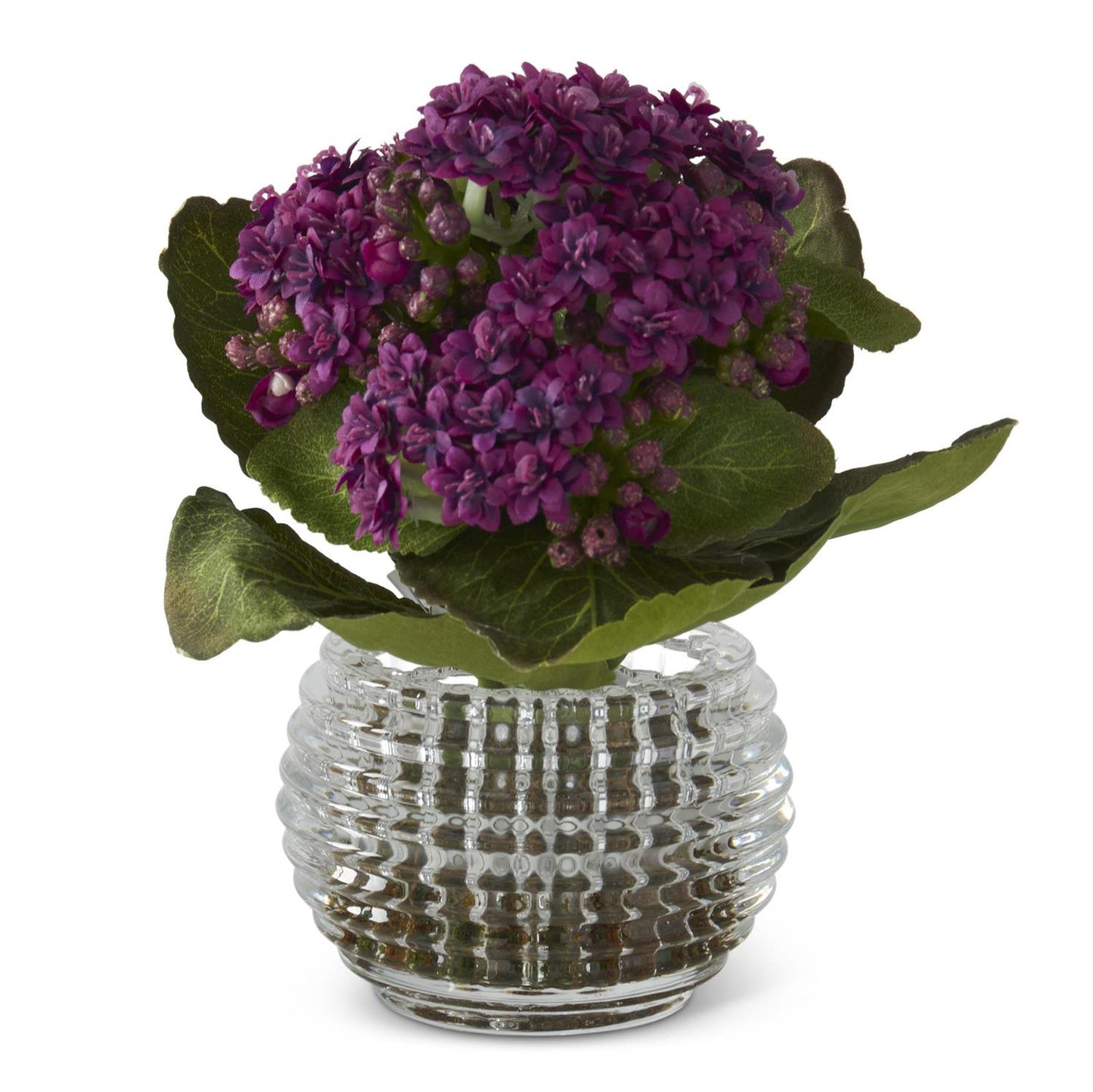 Purple Kalanchoe Premade in Pressed Glass Vase w/Faux Moss - 7.5 Inch