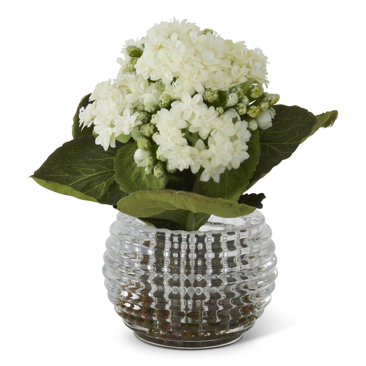K & K Interiors 7.5 Inch White Kalanchoe Premade in Pressed Glass Vase w/Faux Moss