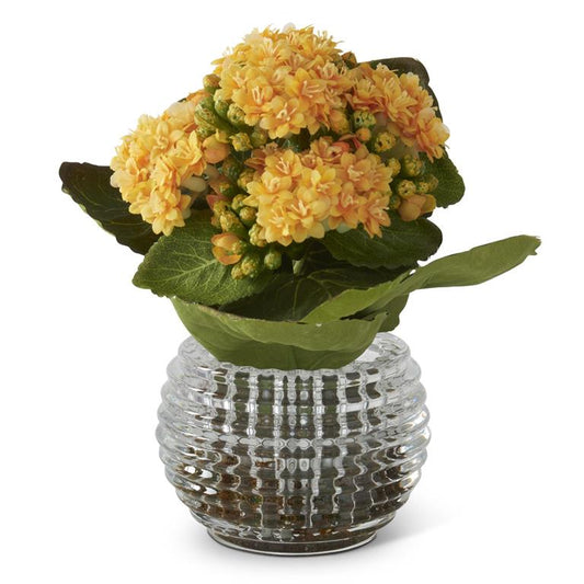 Yellow Kalanchoe Premade in Pressed Glass Vase w/Faux Moss - 7.5 Inch