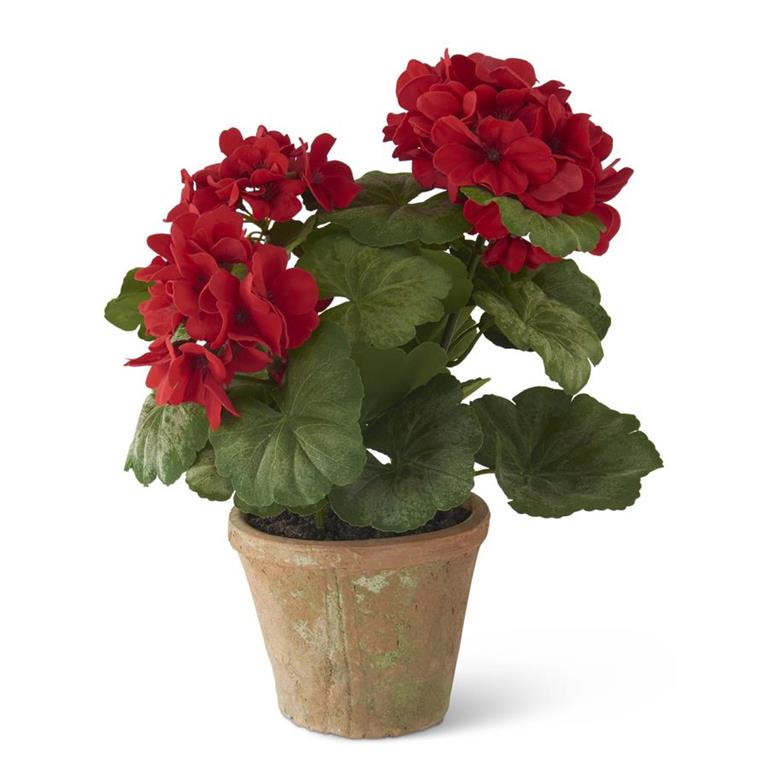 K & K Interiors 14 Inch Red Potted Geranium in Clay Pot
