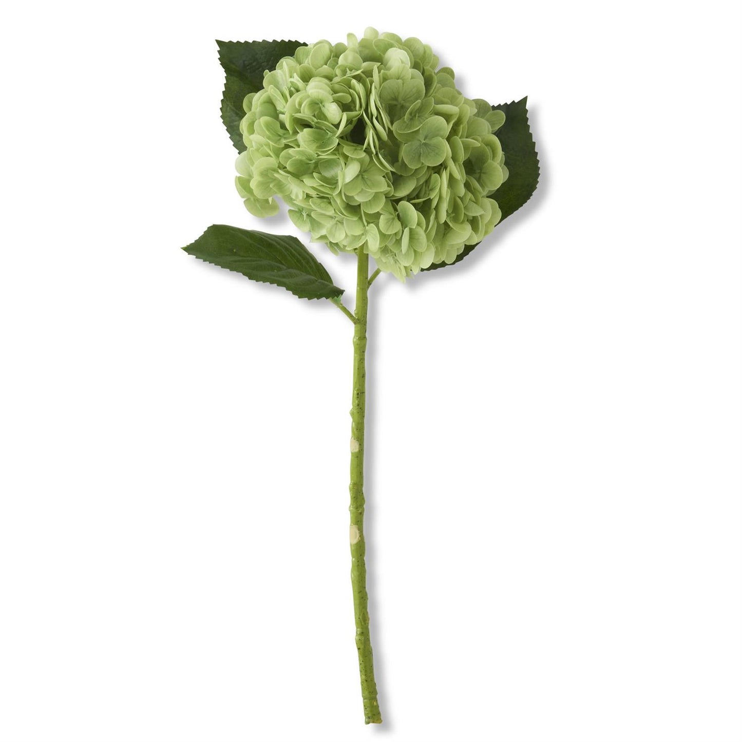K & K Interiors 20 Inch Green Real Touch Hydrangea Stem