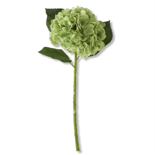 K & K Interiors 20 Inch Green Real Touch Hydrangea Stem