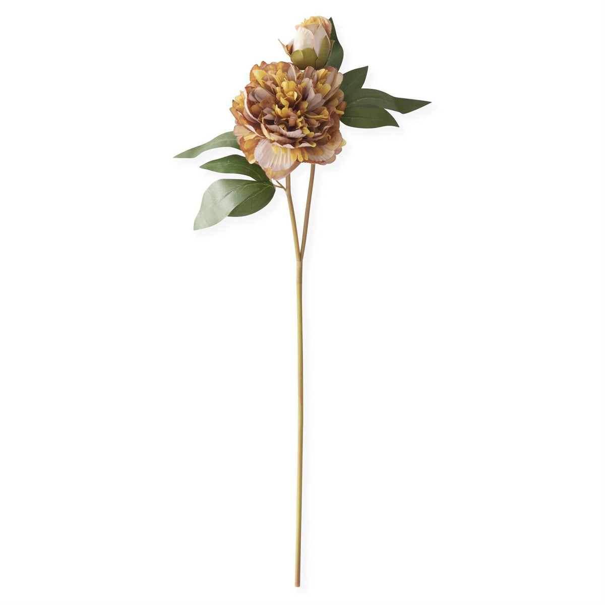 K & K Interiors 22.5 Inch Yellow w/Brown Blossom & Bud Peony