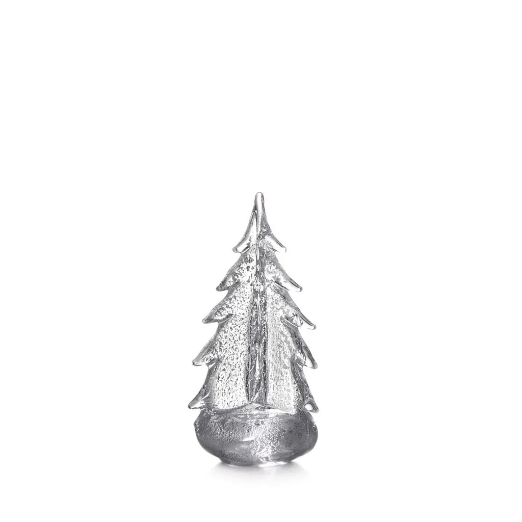 Silver Leaf Evergreen - 10 Inch
