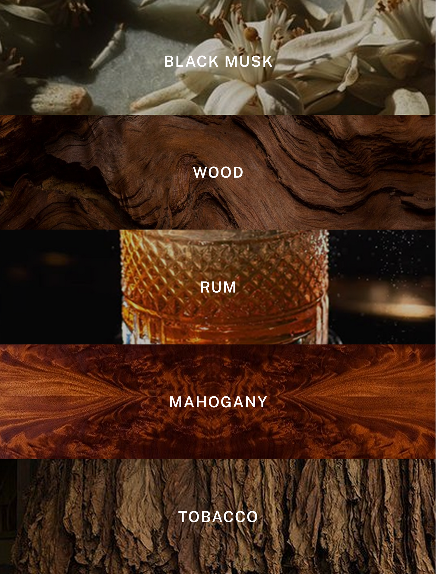 Paris Nuit - Luxury Fall Scented Candle - 9.75 oz