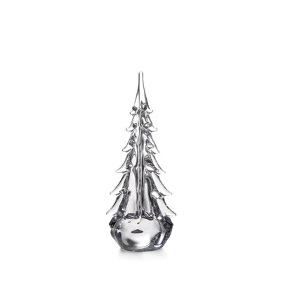 Five-Sided Evergreen - 14 Inch