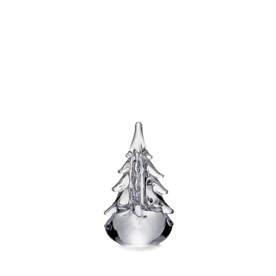 Five-Sided Evergreen - 6 Inch