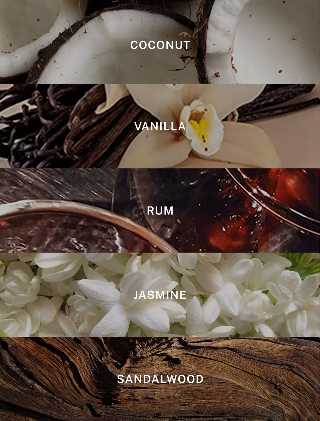 Island - Luxury Soy Coconut Candle - 9.75 oz