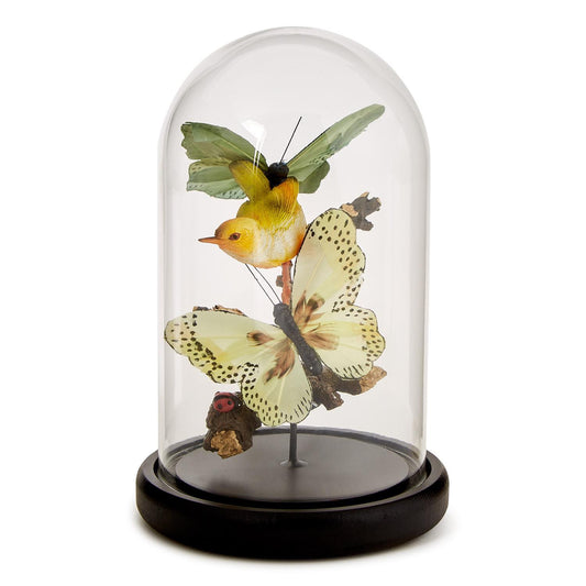 8 1/2" Flora and Fauna Butterfly and Bird Sculpture in Round Dome