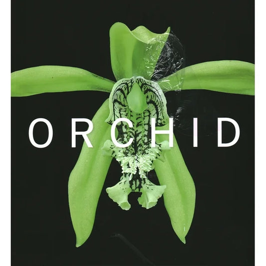 Orchid: Marie Selby Botanical Gardens