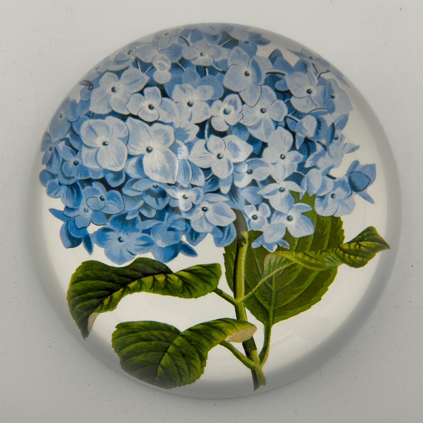 Saint Austin Company Blue Hydrangea Paperweight