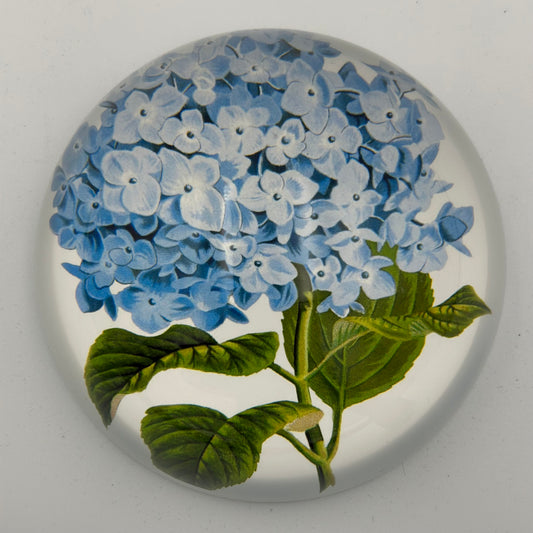 Saint Austin Company Blue Hydrangea Paperweight