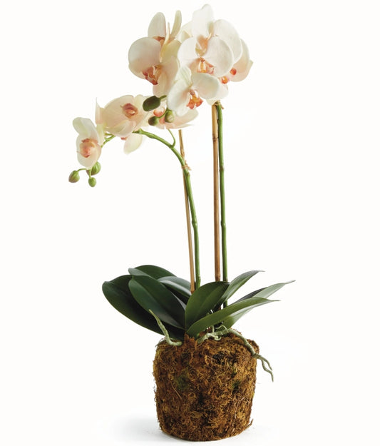 White with Light Pink Orchid Drop In - 23 inch
