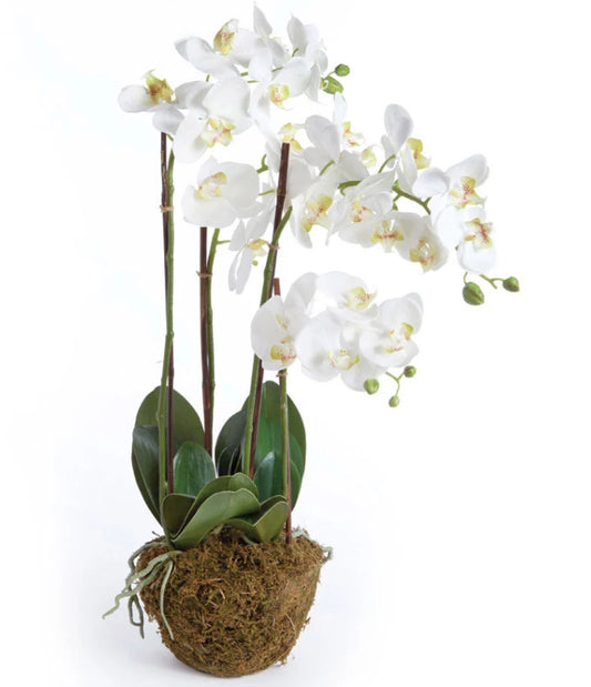 White Orchid Drop In - 30 inch