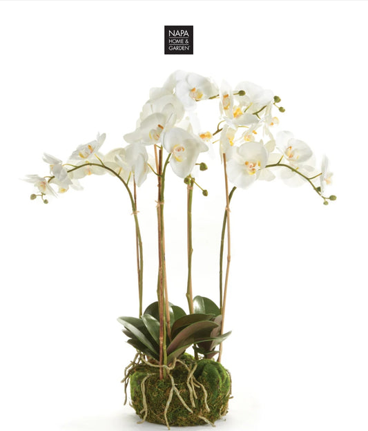 White Orchid Bowl Drop In - 25 inch