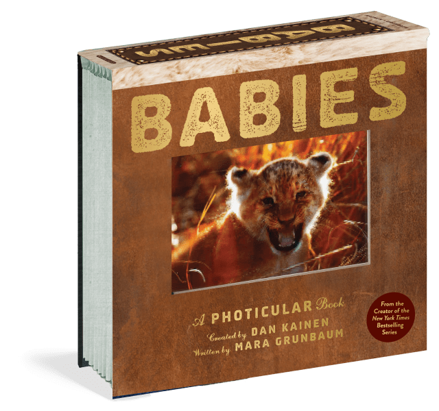 Babies: A Photicular Book: Hardcover