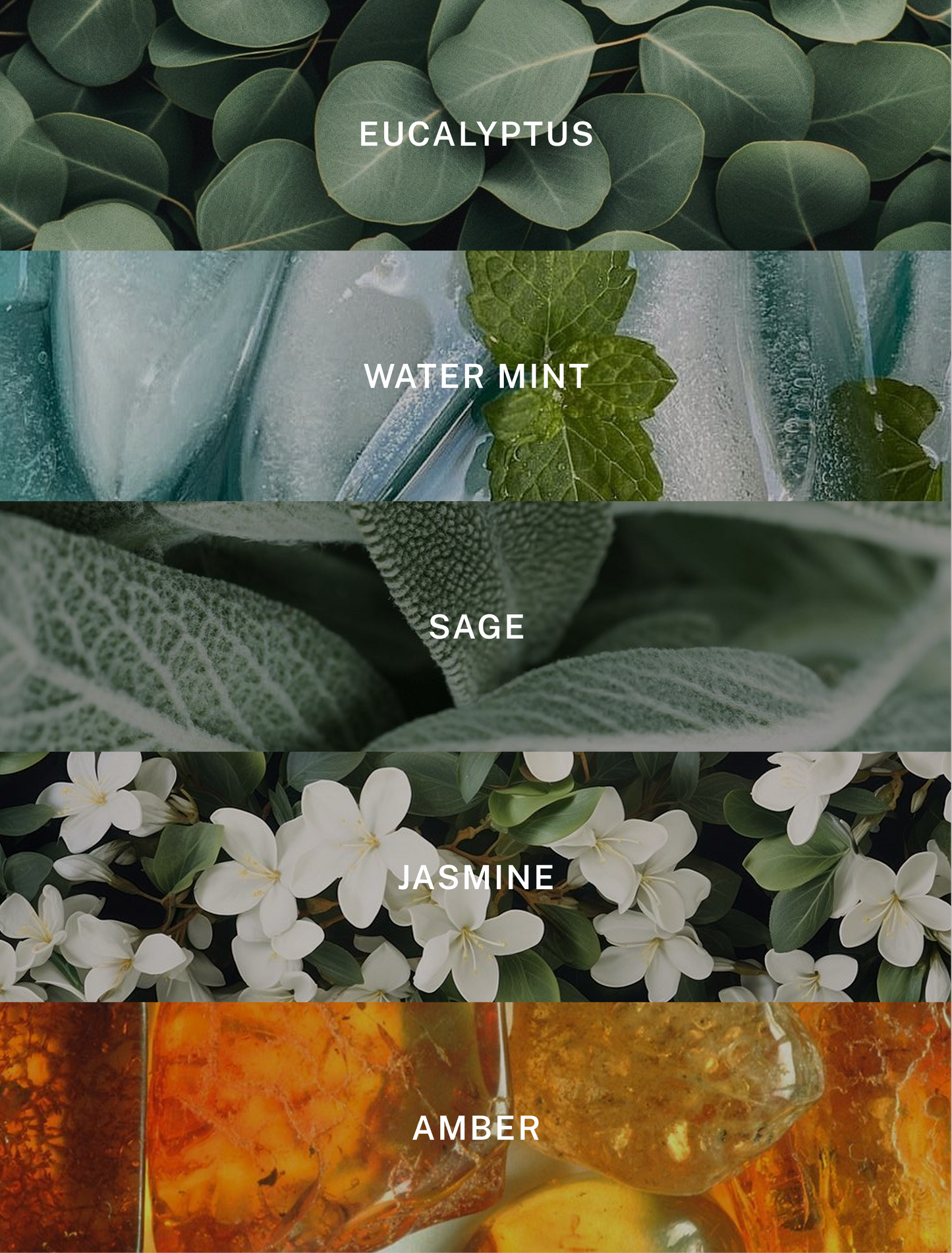 Spa - Relaxing Eucalyptus Luxury Soy Candle - 9.75 oz