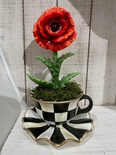 Teacup Poppy